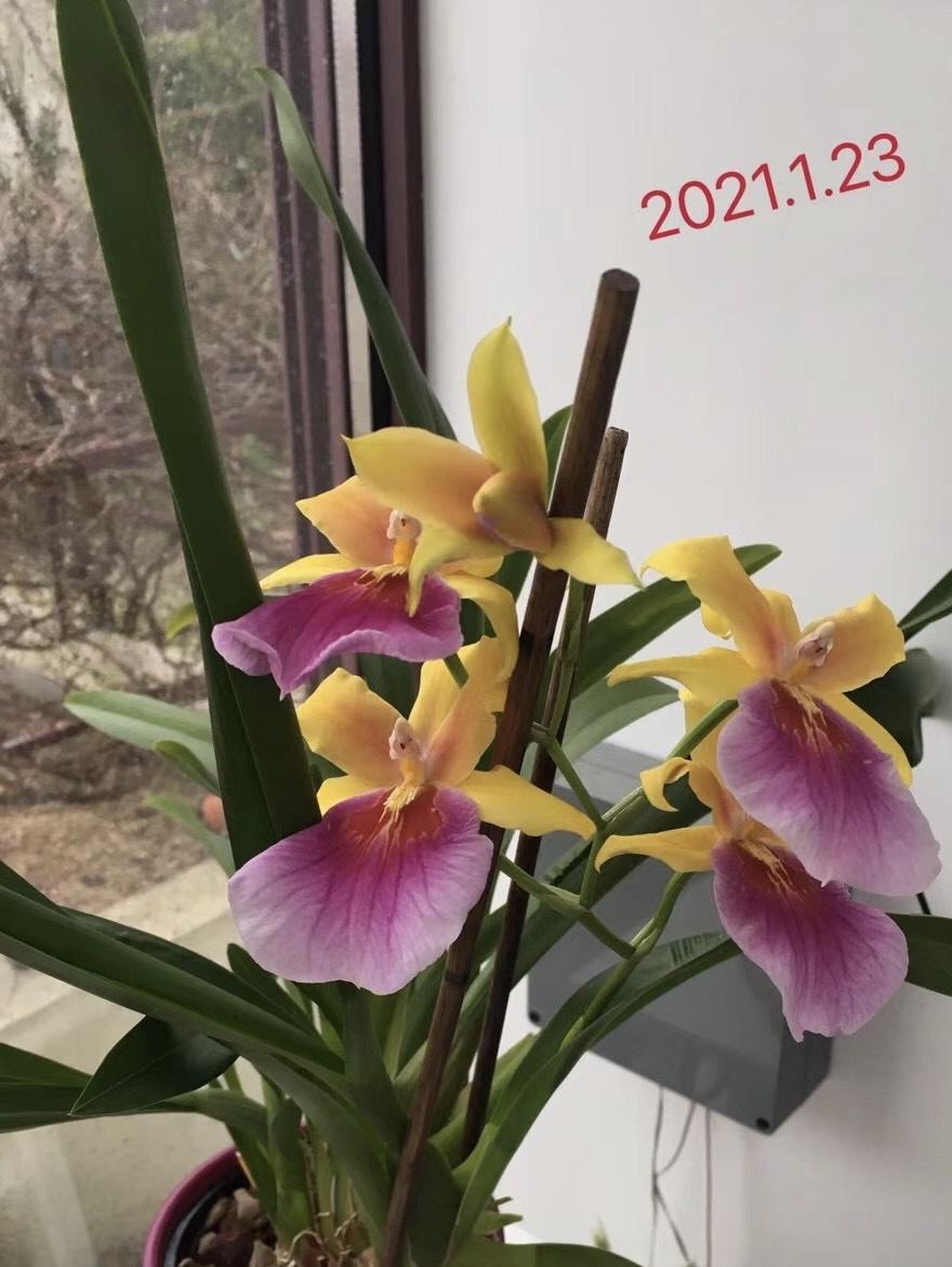 20210123