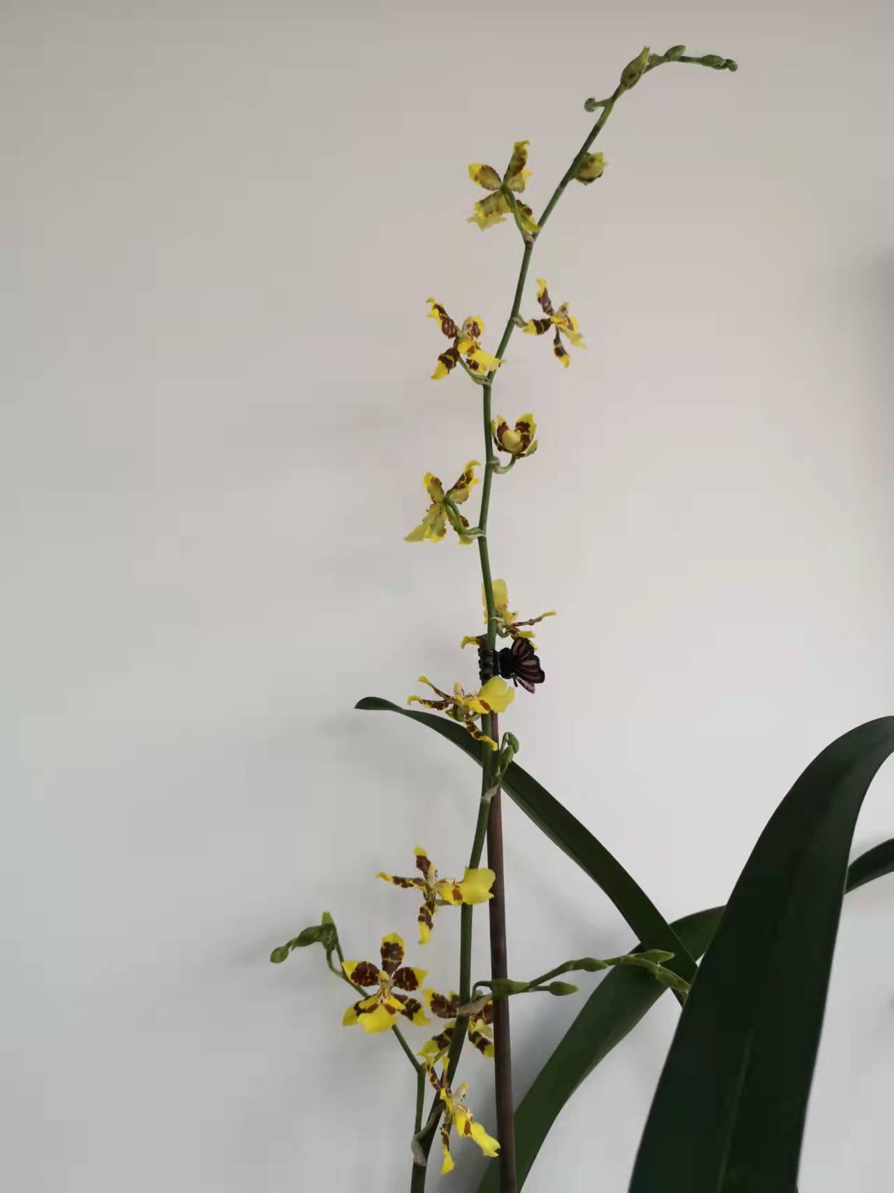 P5033122